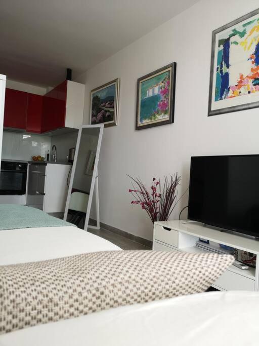 Studio Apartment Ivana - New Sweet Apartment ドゥブロブニク エクステリア 写真