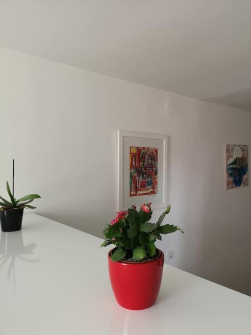 Studio Apartment Ivana - New Sweet Apartment ドゥブロブニク エクステリア 写真
