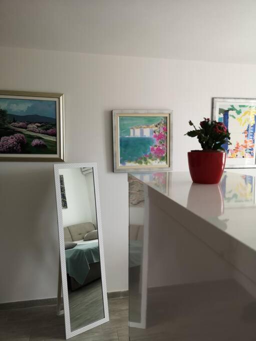 Studio Apartment Ivana - New Sweet Apartment ドゥブロブニク エクステリア 写真